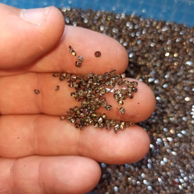strass conicas marron